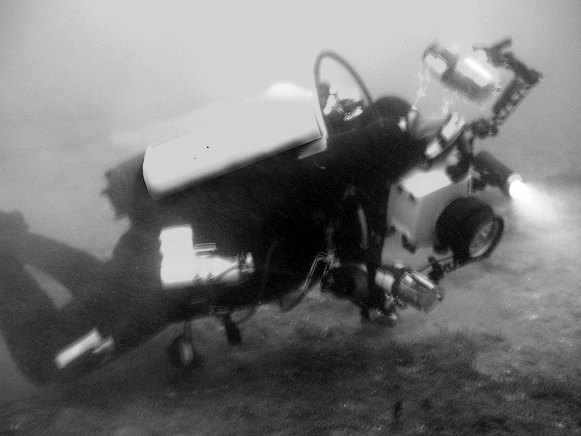 Underwater with the Subal housing
