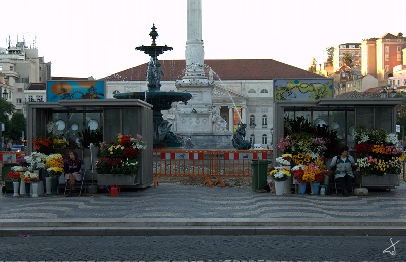 Dos Flores