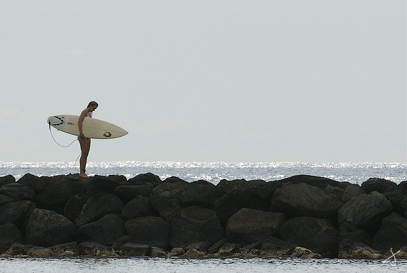 Surfer Girl