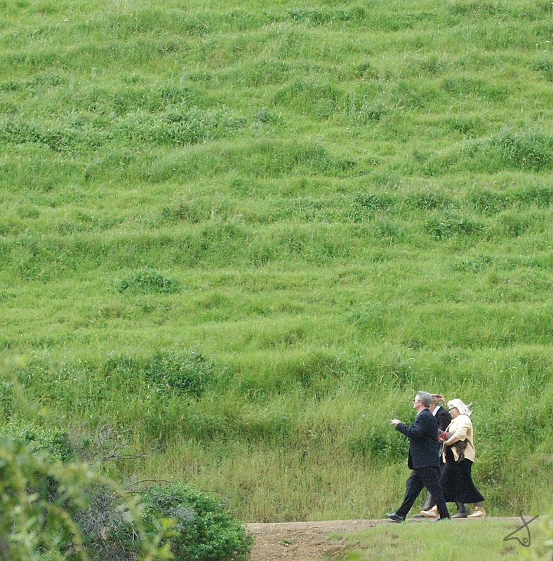 Walk