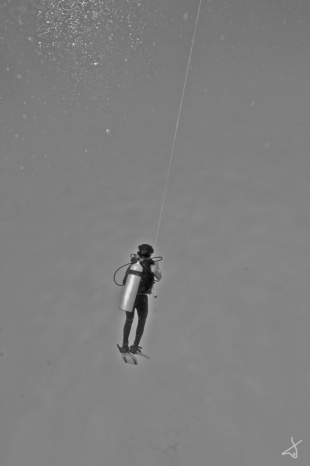 Kite Flying