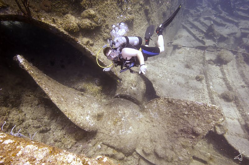 Rhone Prop
